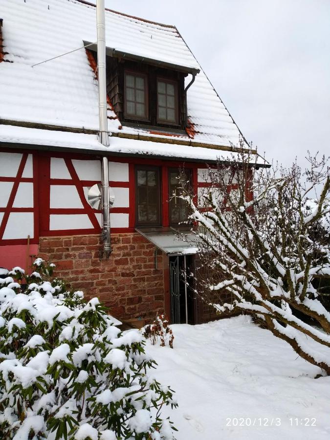 Ferienhaus Marré - mit Grill, Feuerstelle und Gartensauna Waldbrunn  Exterior foto